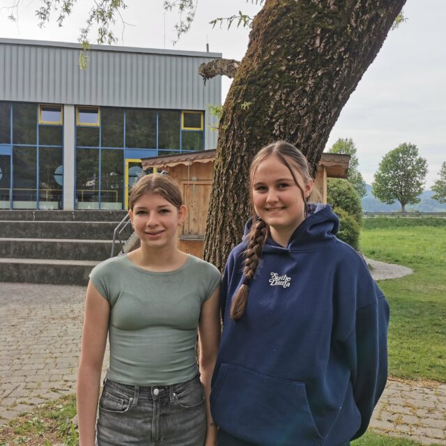 3a