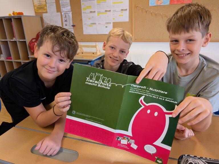 Rinder-Wissen: Tierwohl im Fokus unserer Schüler! 🐮