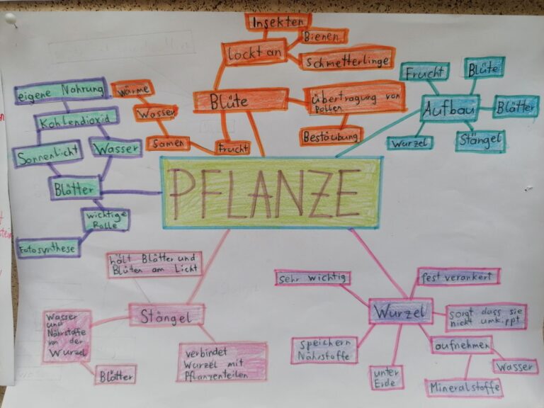 Mindmap-Projekt
